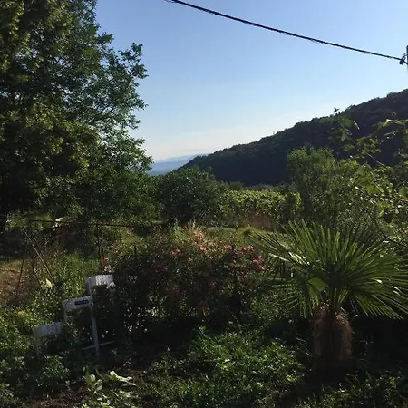 Cotta, Salara Apartma *