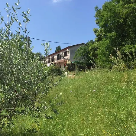 Cotta, Salara Apartma *
