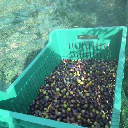 Cotta, Salara דירה *