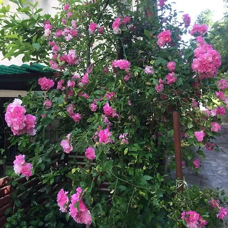 Apartamento Cotta, Salara Koper