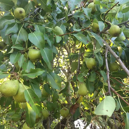 Apartamento Cotta, Salara *