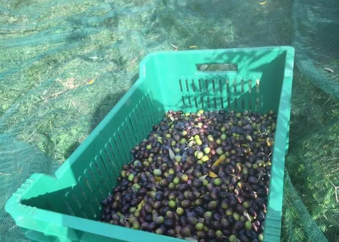 Cotta, Salara Διαμέρισμα *