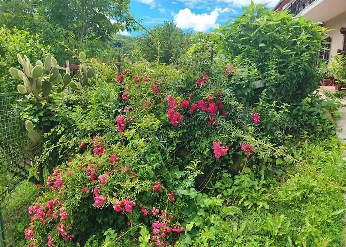 Διαμέρισμα Cotta, Salara *