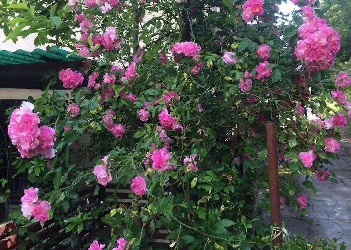 Διαμέρισμα Cotta, Salara Κόπερ