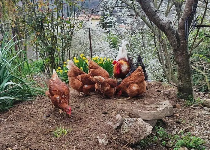 Διαμέρισμα Cotta, Salara *