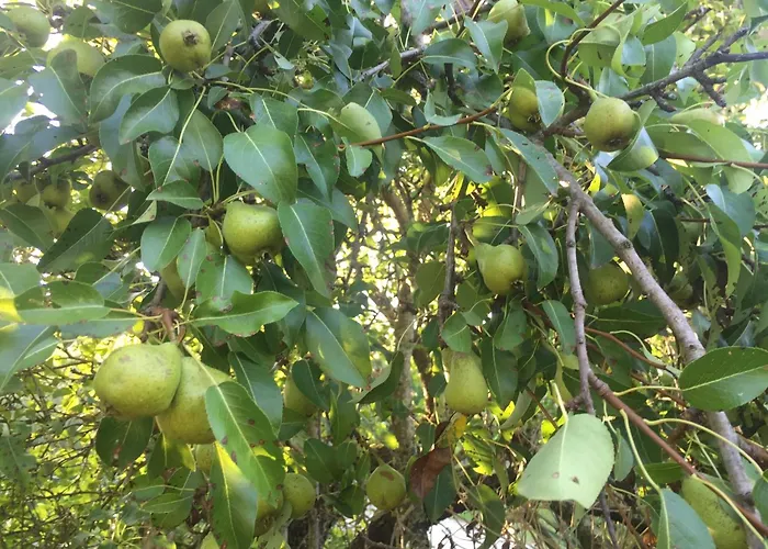 Διαμέρισμα Cotta, Salara *