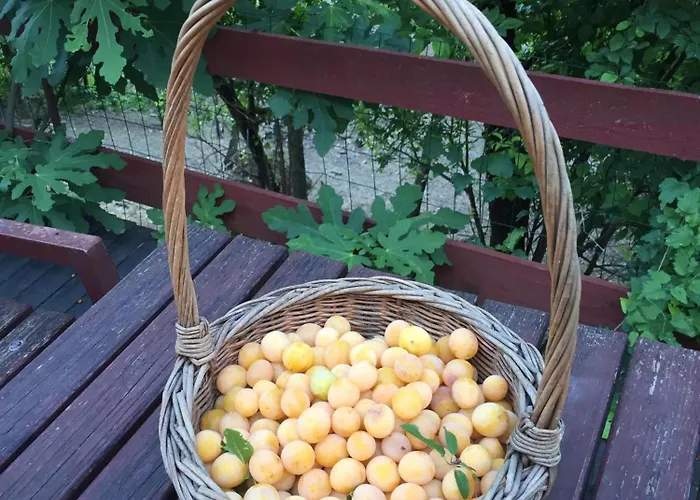 Διαμέρισμα Cotta, Salara